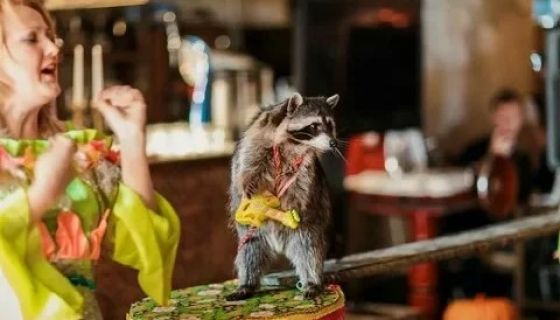 Цирк «Бруно», Сковородино