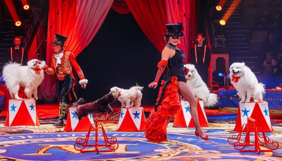 Цирк «Моретти»