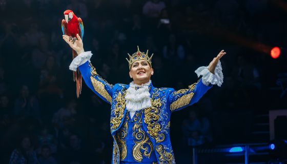 Цирк «Моретти»