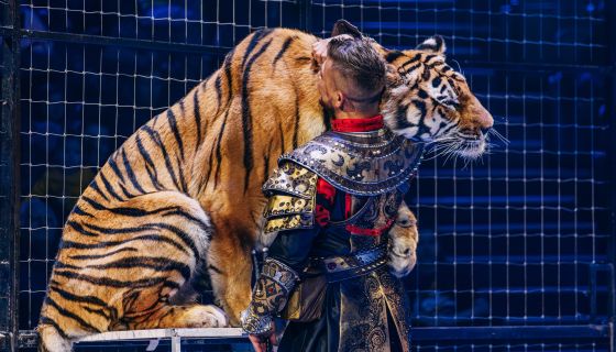 Цирк «Моретти»